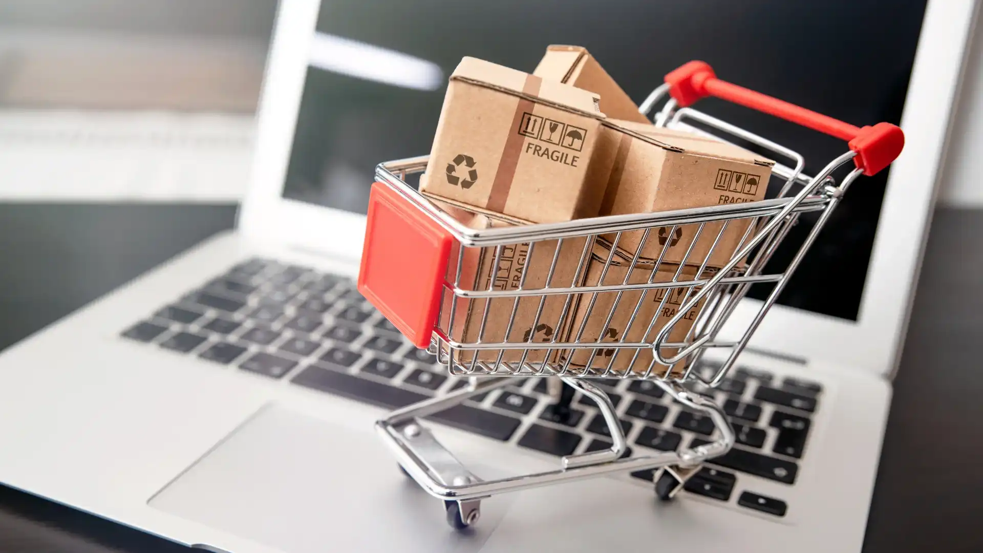 Digital Marketing for E-commerce Industry in Sirsa, India