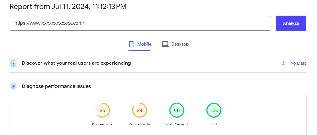 pagespeed-report-50