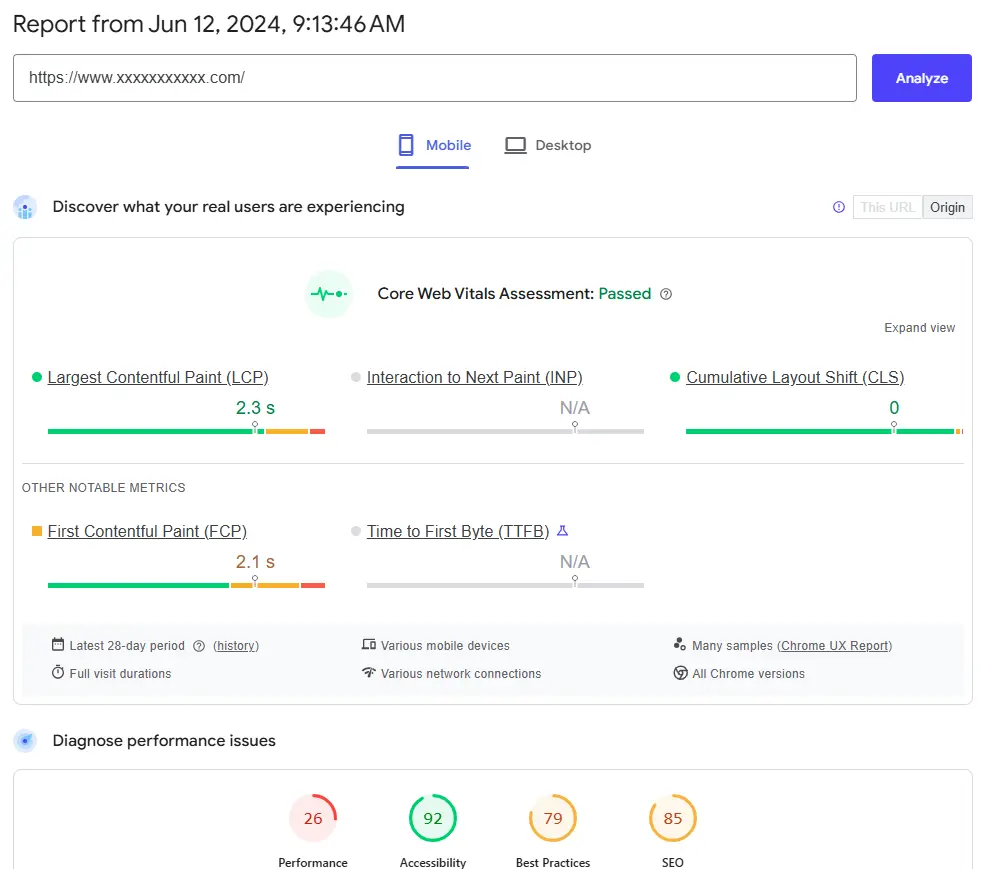 pagespeed-report26